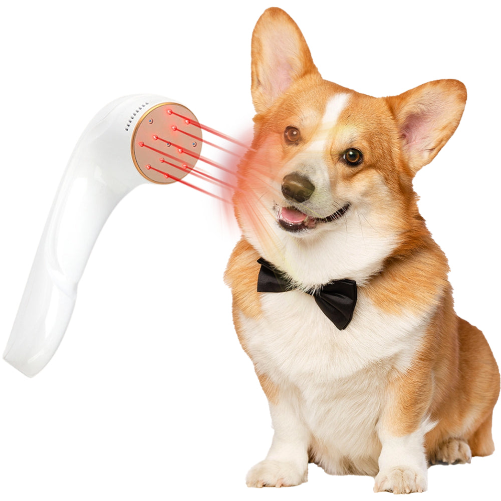 Dog Post-Surgery Infrared Light Product 810nm/650nm Light for Pet Wound Care