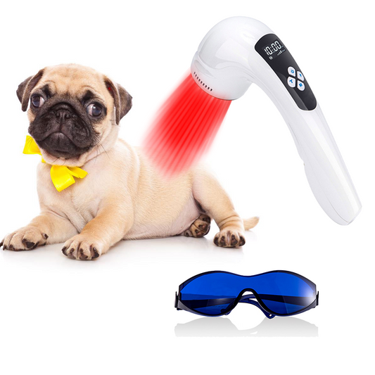 Dog Ear Infection & Arthritis Relief 810nm Infrared Light Safe Home Use Machine