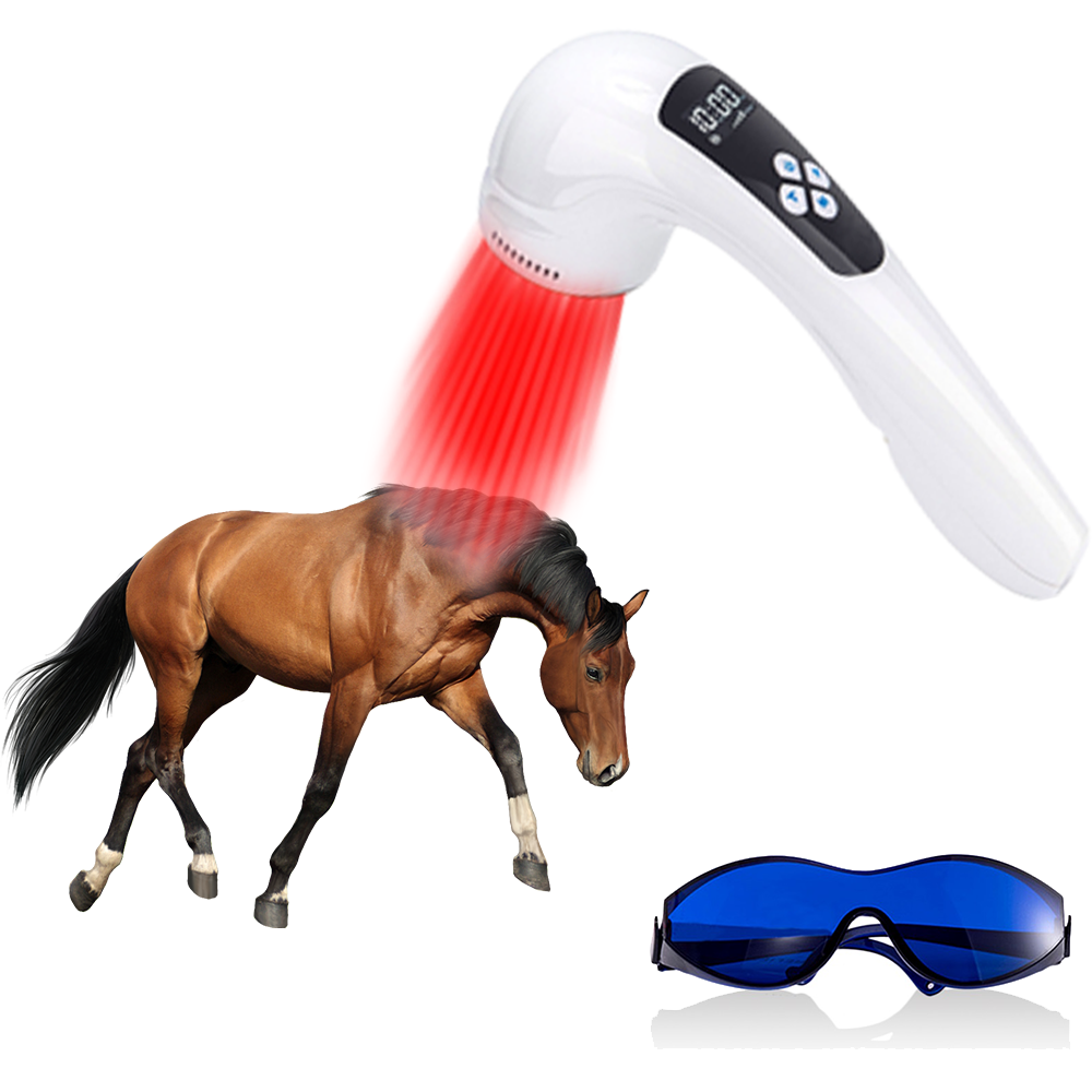 Senior Dog Arthritis Pain Relief Easy to Use at Home Infrared Light Therapy Animal Product