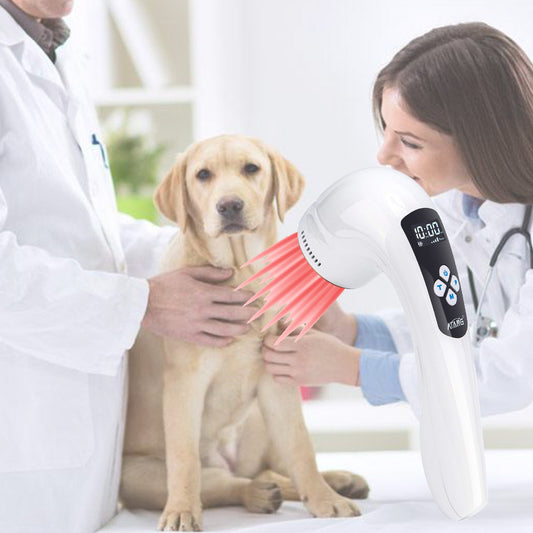 Infrared Therapy Veterinary Dog Arthritis Treatment Pet Pain Relief Cold laser therapy