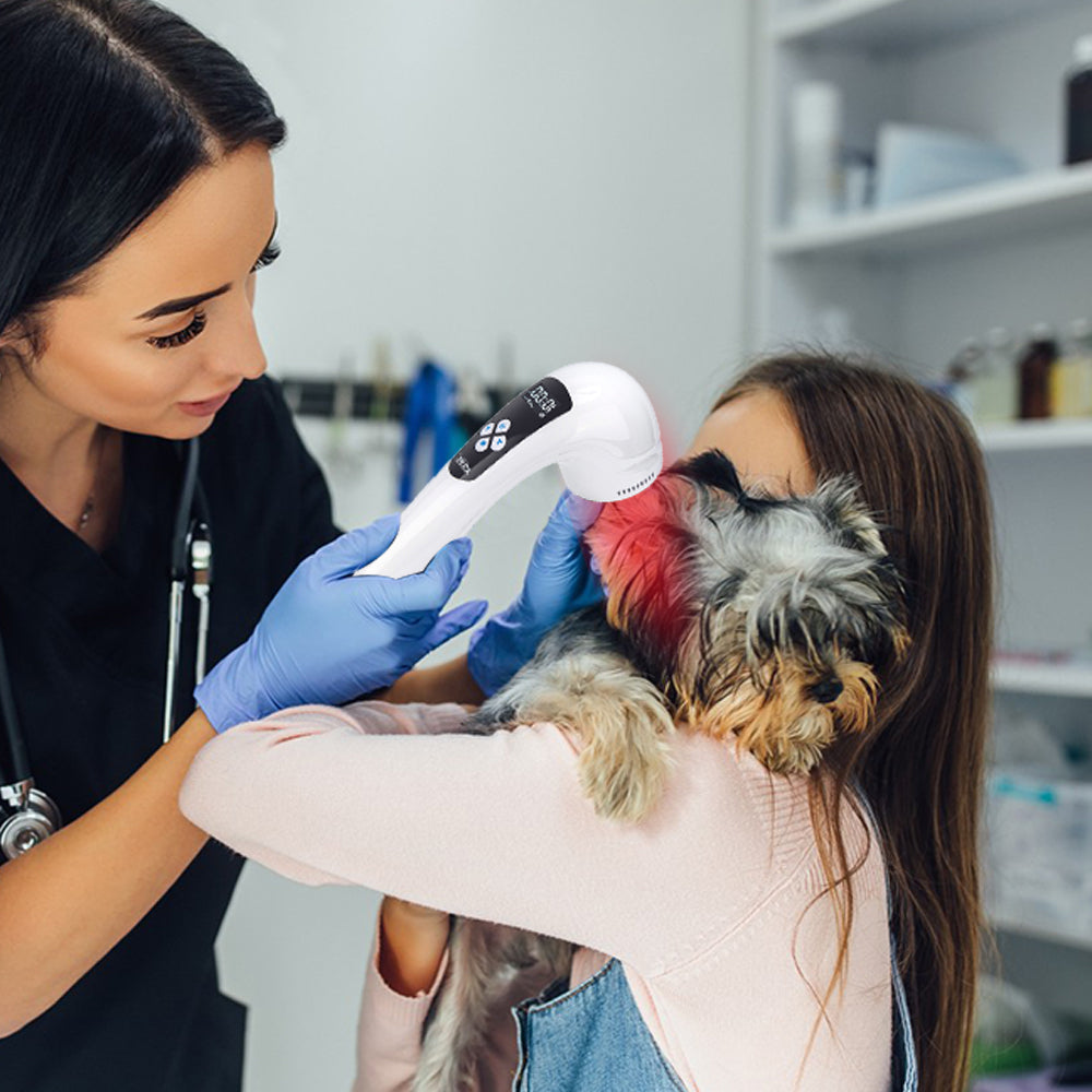 Cat Gingivitis Treatment & Kitten Respiratory Infection Infrared Light Therapy